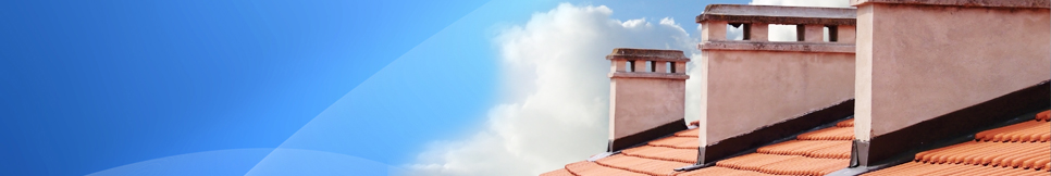 Banner - Walter Baum