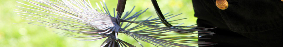 Banner - Walter Baum